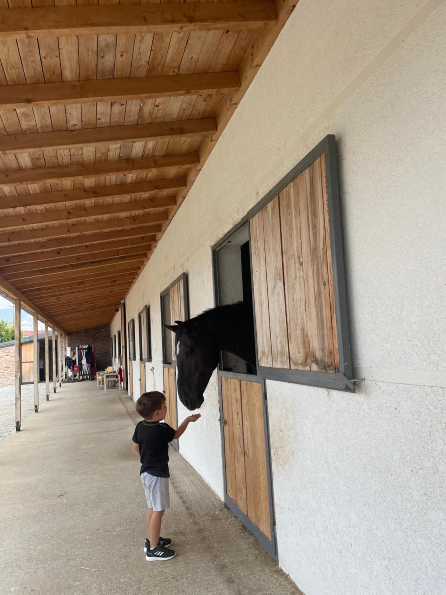 House Of Horses Shtepia E Kuajve Hotel Korce Exterior photo